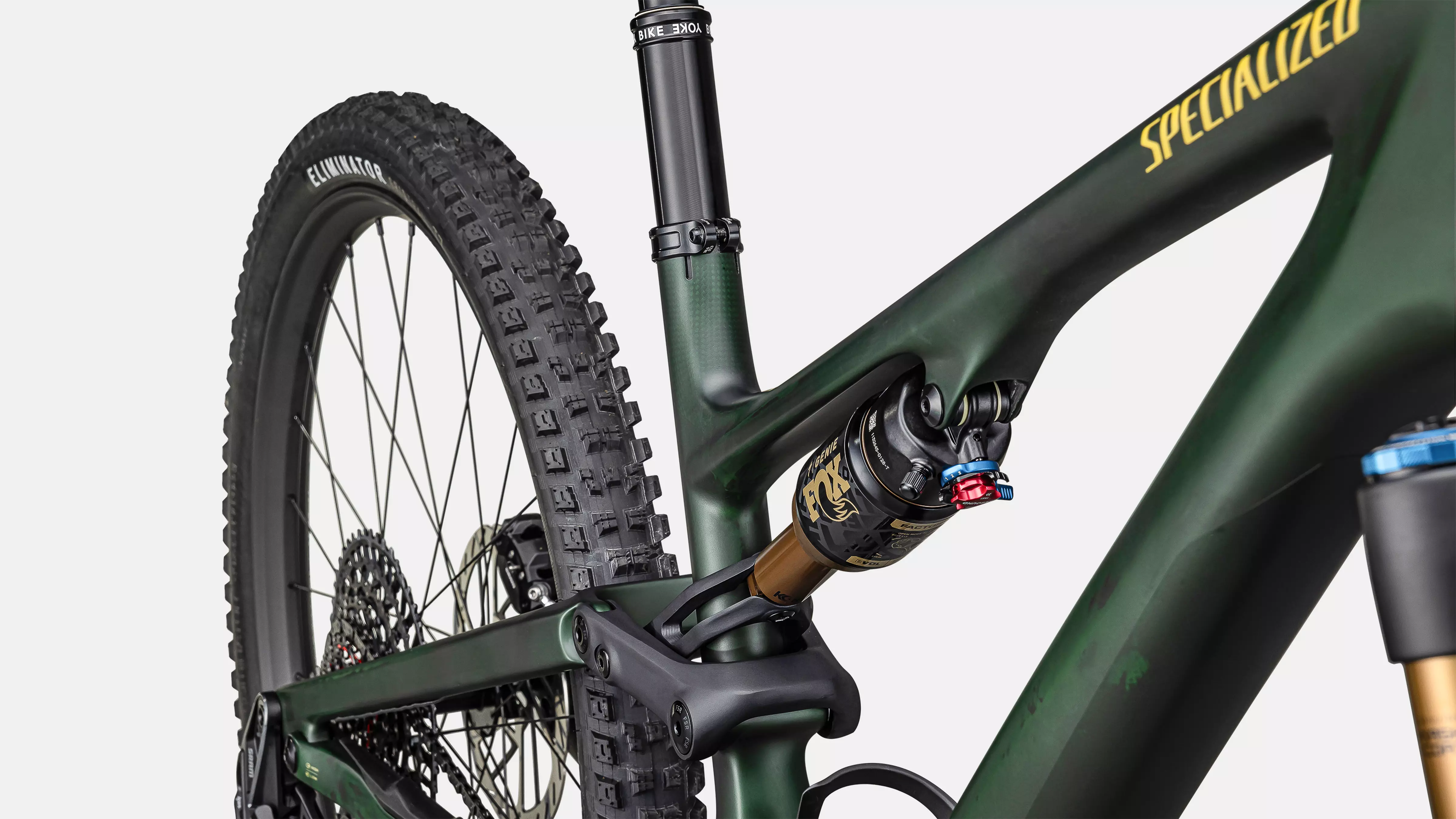 Specialized Stumpjumper 15 EVO rear suspension detail.